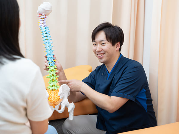 骨盤の説明
